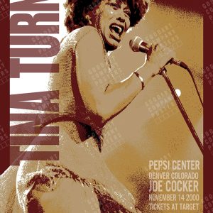 Tina Turner 2000