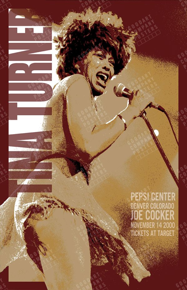 Tina Turner 2000